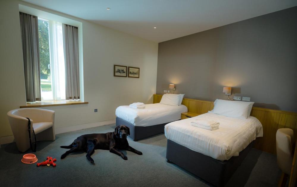 Northgate House Hotel Buckfastleigh Eksteriør billede